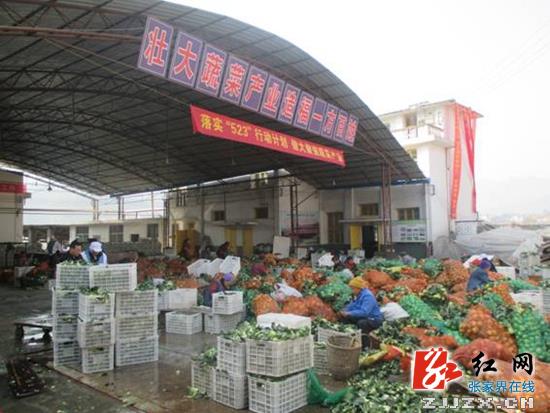 桑植县脱水蔬菜再谱新篇