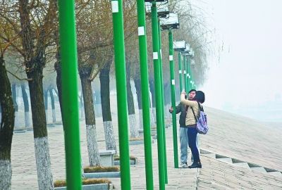     武昌江滩电灯杆几乎都贴上了交通违停告知单。记者杨涛 摄
