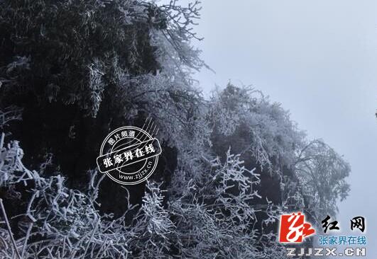 张家界市气象局启动气象灾害（冰冻）Ⅲ级应急响应