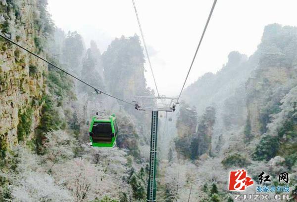 武陵源杨家界索道恢复营运 可近距离欣赏峰墙雪景