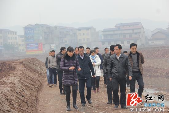 邱初开视察慈利县农村土地综合整治项目