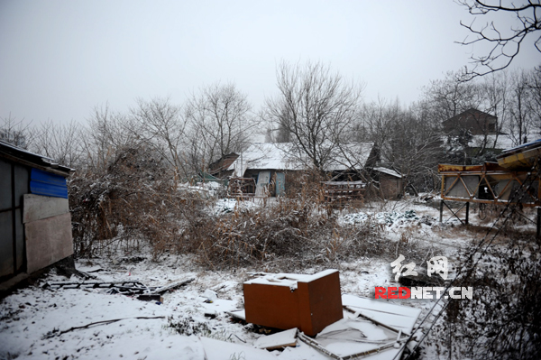1日清晨，大雪覆盖了安乡县城。