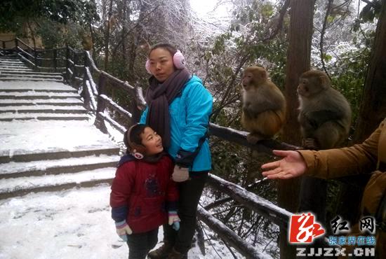 武陵源：改善景区生态环境 护世界遗产“原貌”