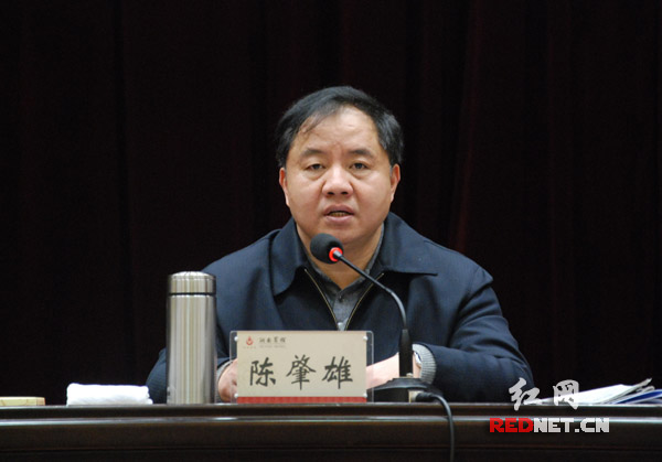 湖南省委常委、常务副省长陈肇雄出席会议并讲话。