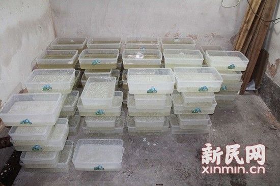 上海警方破获特大毒品案缴获冰毒近2.4吨(图)