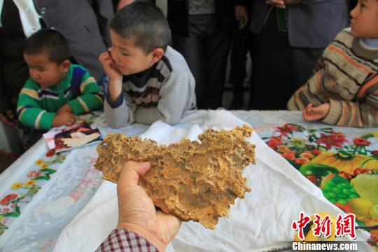 新疆牧民捡到天然金追踪：多部门已前往调查（图）