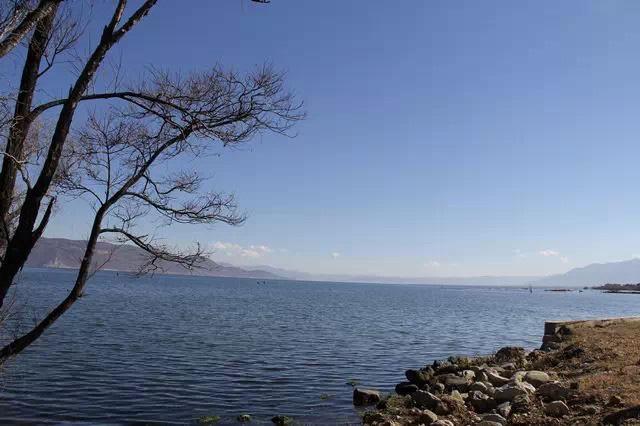 媒体揭秘习近平考察大理时舍不得离开之地