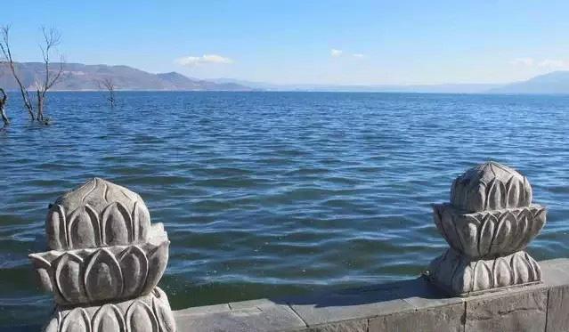 媒体揭秘习近平考察大理时舍不得离开之地