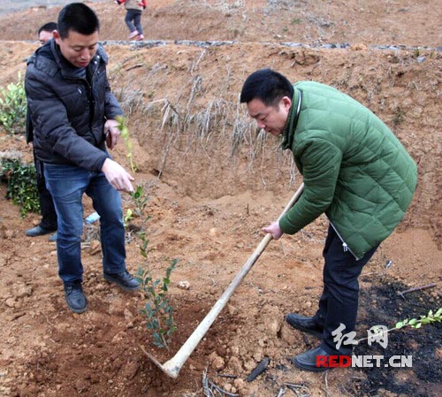 副县长范志锋[右]在栽植油茶