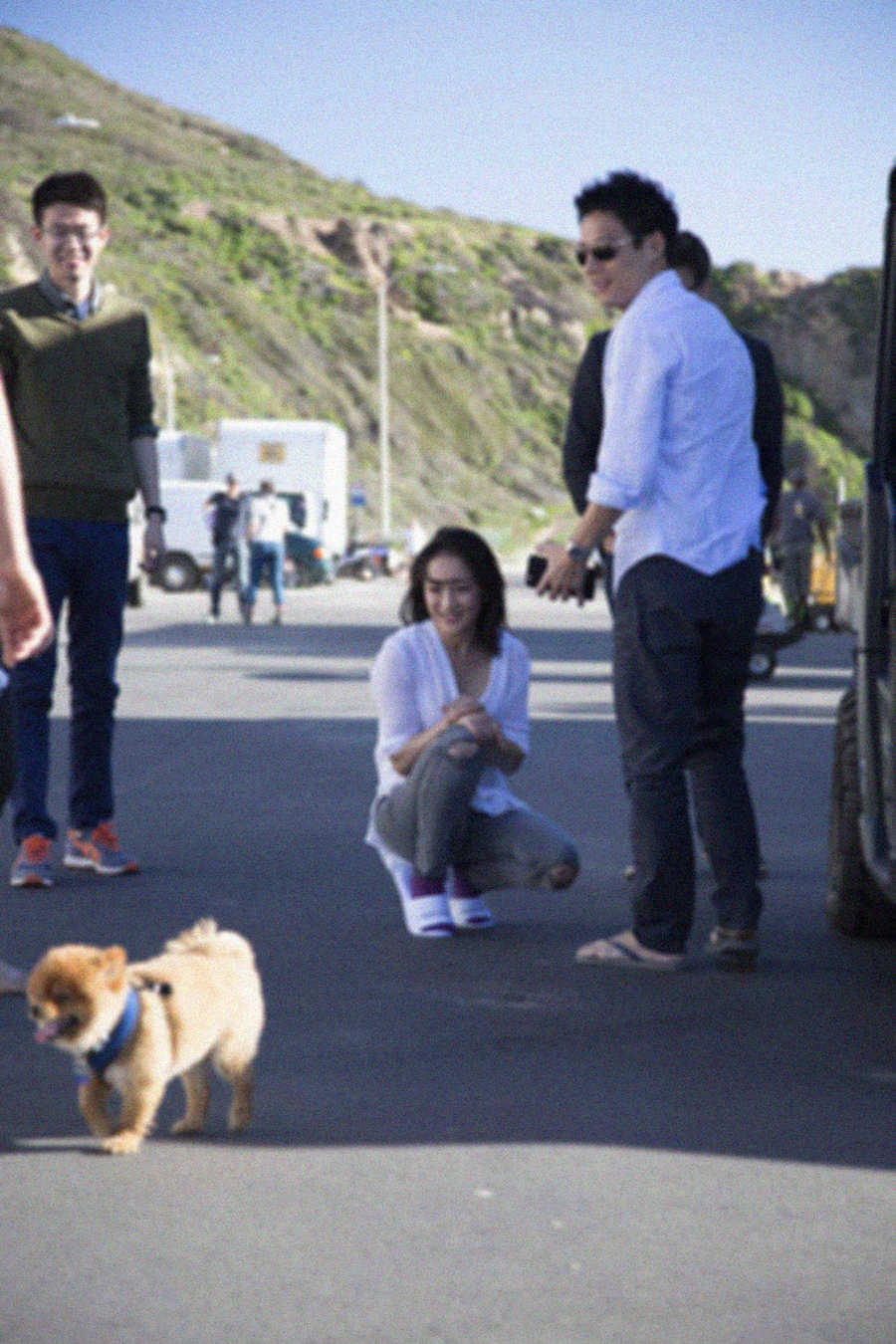 周迅高圣远夫妻童心大发逗小狗