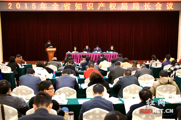湖南省知识产权局局长工作会议召开