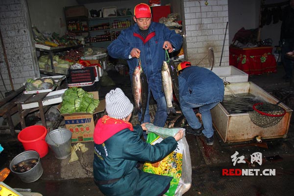 天才蒙蒙亮，两名队员便来到菜市场采购新鲜活鱼。19位麻风病人加上两位病人家属，一共是21份，装了满满的一袋子。其他物资前一天就采购好了。