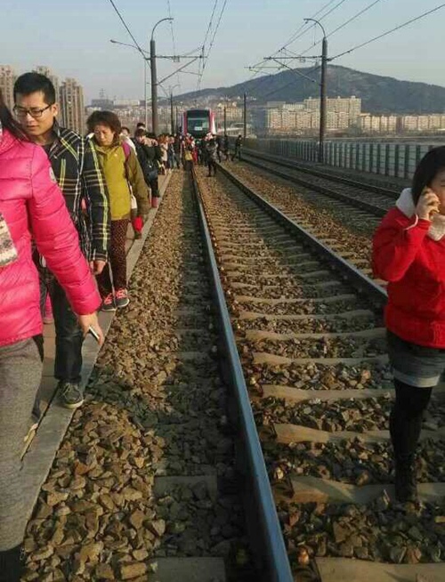 图片来自网络
