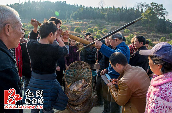 新化县杨家边村1600余村民分鱼打牙祭(图)