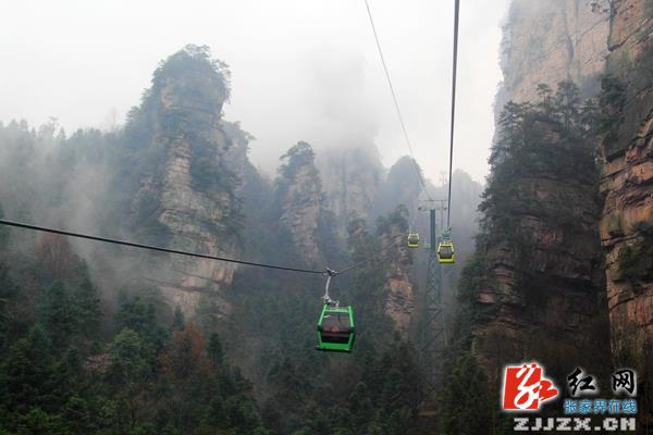 【我在张家界过春节】武陵源杨家界索道迎来首个春节“开门红”