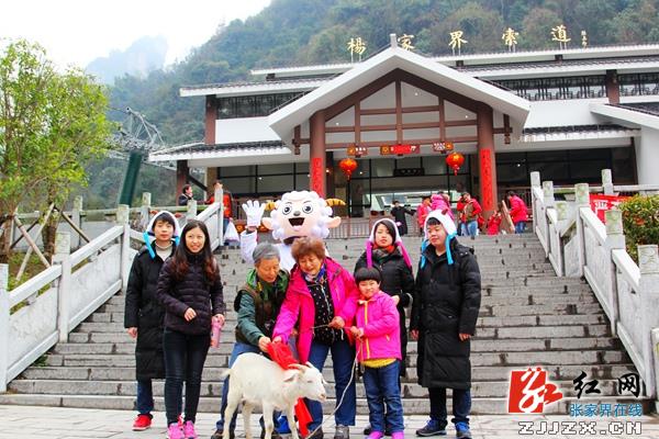 【我在张家界过春节】杨家界索道“逮”头活羊送游客