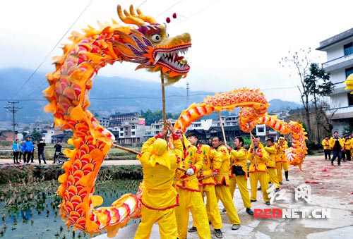 2月21日，湖南省隆回县金石桥镇黄金井游龙队在舞龙。贺上升 摄