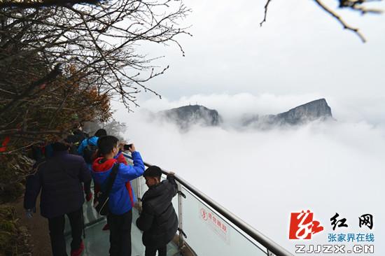 【我在张家界过春节】天门山雨后天晴现云海 游客爆棚景区提前停售票