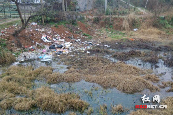 淤泥满塘、垃圾成堆，堰塘成为村里人见人躲的“臭地”。