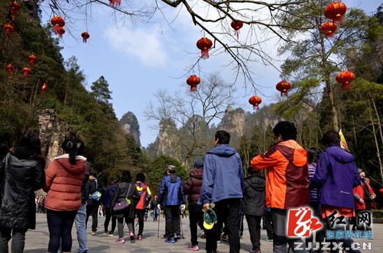 【我在张家界过春节】春节旅游迎“高温” 武陵源年初三纳客10万余人次