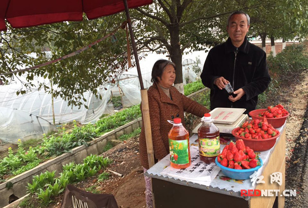 在S207省道春华镇新街路段卖草莓的曾仕希[右]和老伴