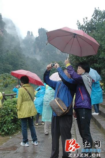 张家界武陵源核心景区雨中纳客近５万人