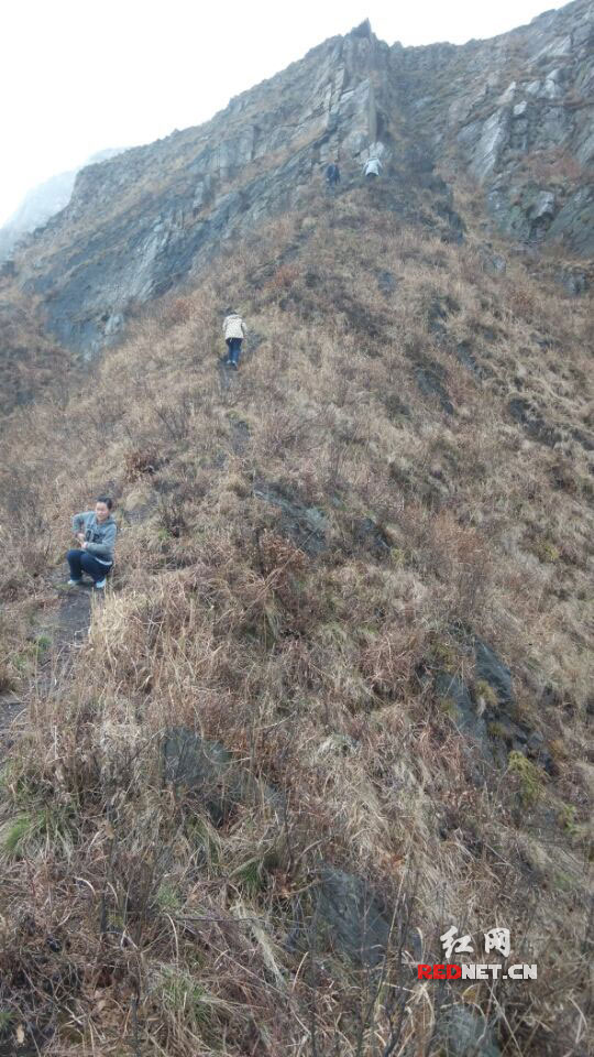 郭志强)2月24日,地处邵东,衡阳,祁阳三县交界的大云山颇为热闹,众多