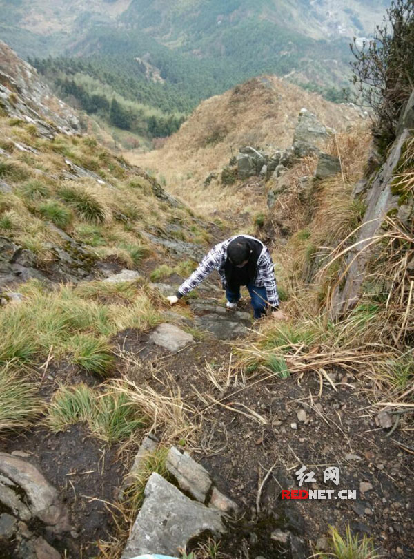 驴友在征服大云山的过程中颇为吃力，主要还是其山极陡，山石众多。