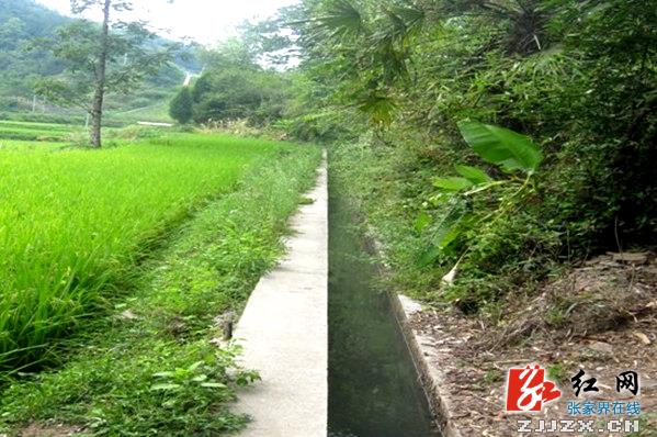 武陵源：七年投入1960万 农业综合开发项目惠民生