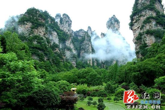抓好森林病虫害及火灾监防 武陵源区55年未发生森林火灾