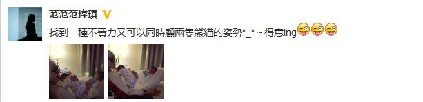 范玮琪晒抱双胞胎自拍：一个坐腿一个坐肚子