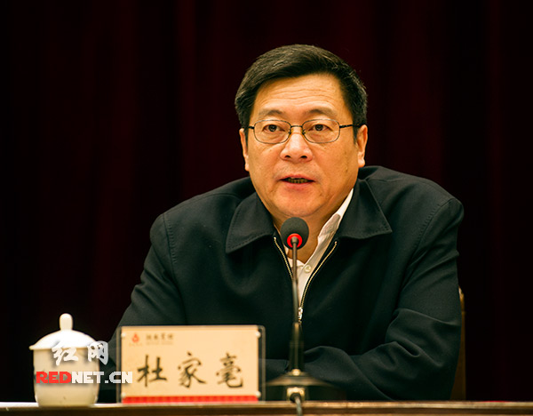 湖南省委副书记、省长杜家毫在大会上讲话。