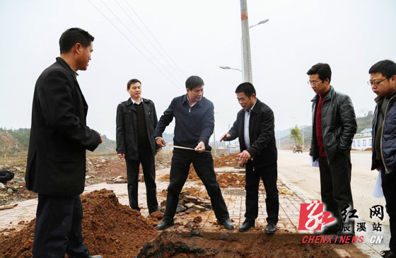 辰溪县委书记杨一中调研火马冲工业集中区