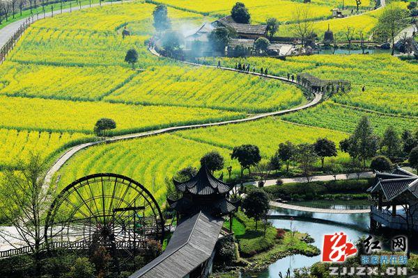 张家界黄龙洞景区“寻花问柳”美景获游客盛赞