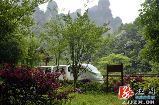 游客盛赞张家界核心景区负氧离子能“洗肺”