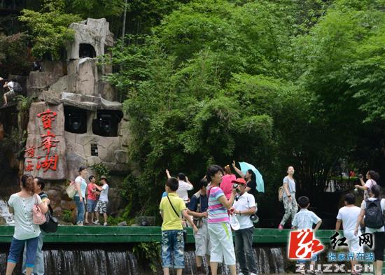 游客盛赞张家界核心景区负氧离子能“洗肺”