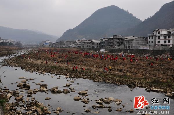 武陵源：“六大主题活动”开展志愿服务 让雷锋精神闪耀