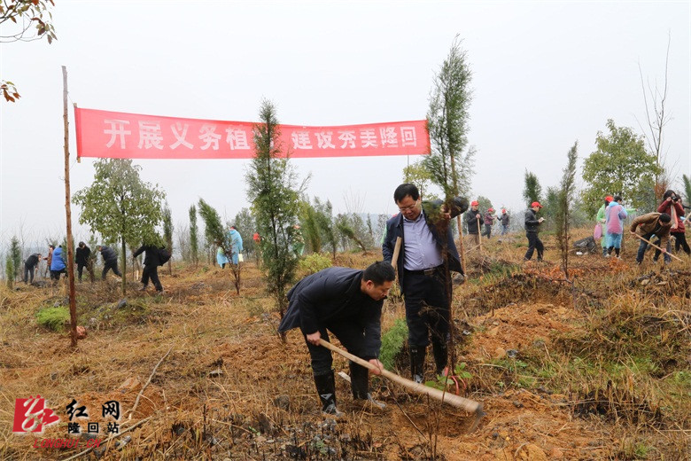 隆回县县委副书记,县长马健强(前排右)参与植树活动