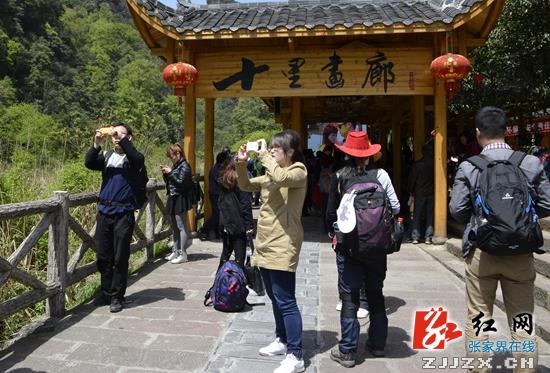 张家界武陵源：自助游引热“红二月”