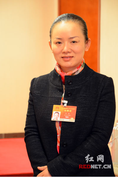 全国人大代表、湖南省文化厅厅长李晖。