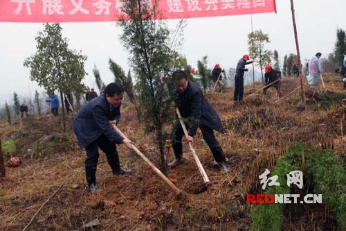 隆回县委副书记、县长马健强[左]与副县长范志锋[右]在参加义务植树