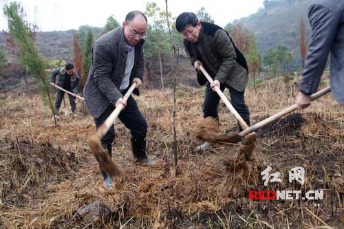 隆回县人大常委会主任刘焕华[左]与县林业局局长刘维湘[右]在参加义务植树