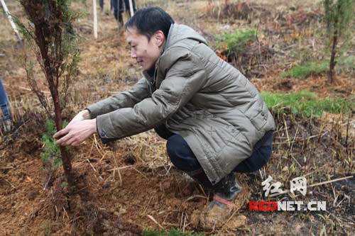 隆回县委常委、组织部长周玉祥在剪枝