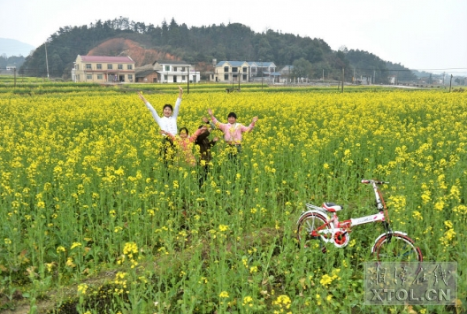 韶山市大坪乡，游人在油菜花地里玩耍