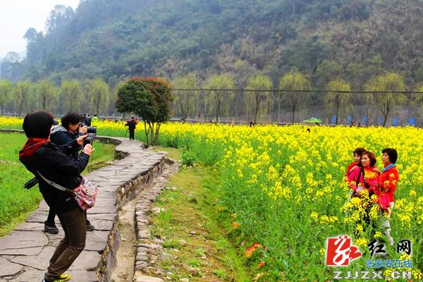 庆“三八”节 千名女游客张家界黄龙洞乐享春光