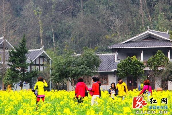 庆“三八”节 千名女游客张家界黄龙洞乐享春光