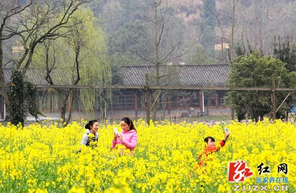 庆“三八”节 千名女游客张家界黄龙洞乐享春光