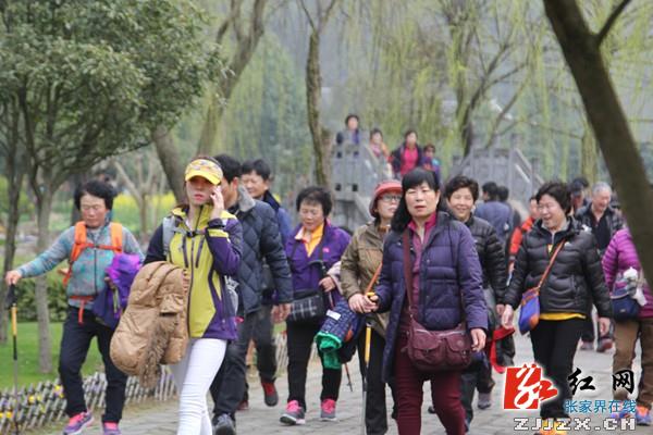 庆“三八”节 千名女游客张家界黄龙洞乐享春光