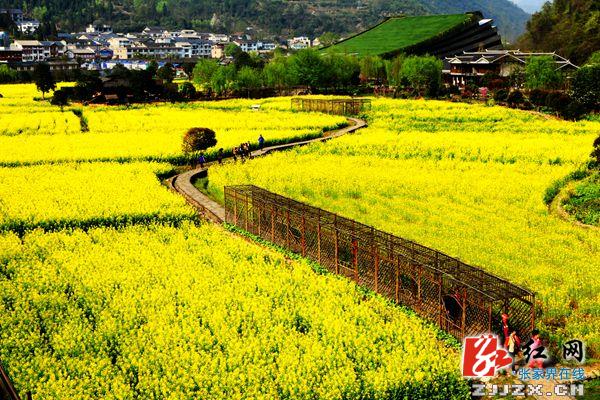 百门长枪短炮聚焦黄龙美景