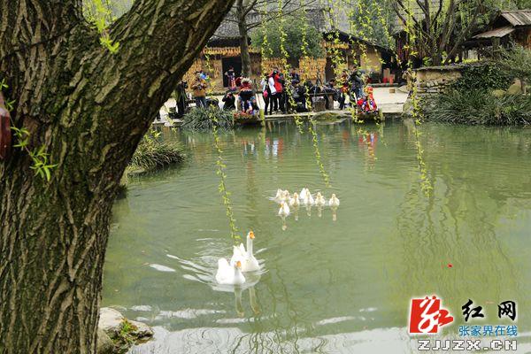 百门长枪短炮聚焦黄龙美景